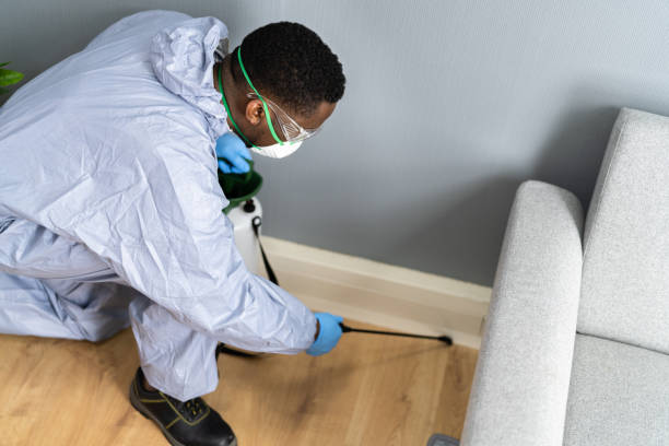 Best Residential Pest Control  in Waterman, IL